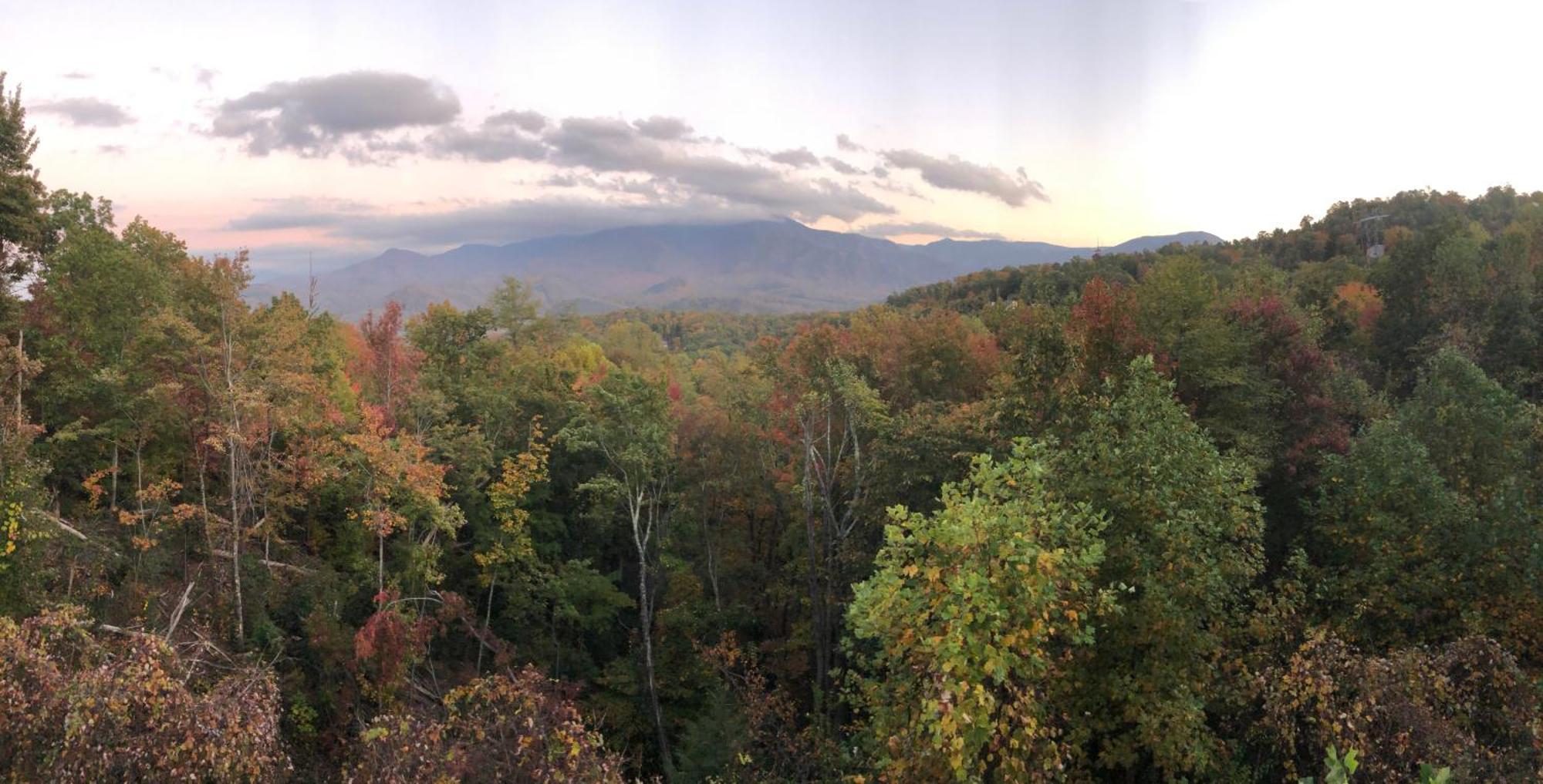 Heavenly View - Bear Themed Cabin, Hottub, Dog-Friendly, Near 개틀린버그 외부 사진